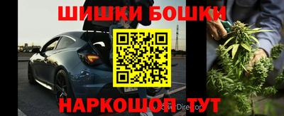 индика Пугачёв