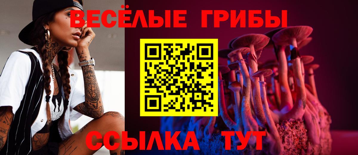 Галлюциногенные грибы прущие грибы  Псилоцибиновые грибы GOLDEN TEACHER  Вход с VPN  Обь 